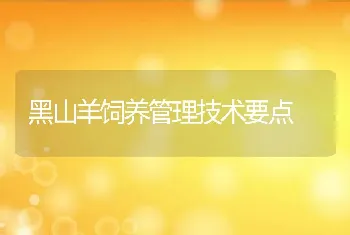 黑山羊饲养管理技术要点