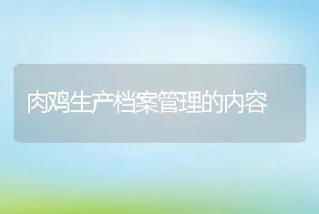 肉鸡生产档案管理的内容