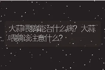 大蒜喂鹅能治什么病？大蒜喂鹅该注意什么？