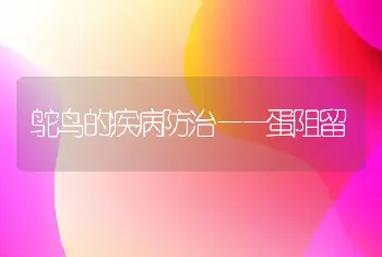 鸵鸟的疾病防治——蛋阻留