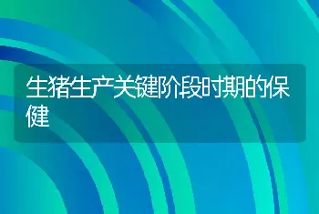 生猪生产关键阶段时期的保健