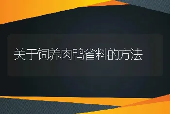 关于饲养肉鸭省料的方法