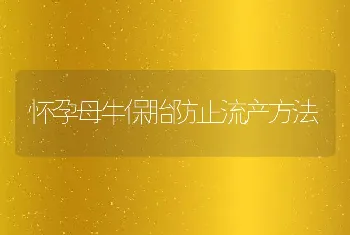 怀孕母牛保胎防止流产方法