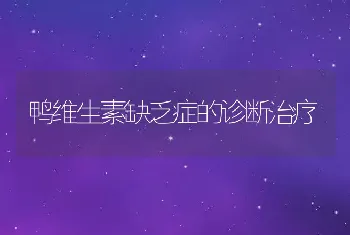 鸭维生素缺乏症的诊断治疗