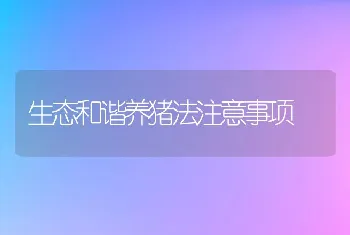 生态和谐养猪法注意事项