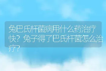 兔巴氏杆菌病用什么药治疗快？兔子得了巴氏杆菌怎么治疗？