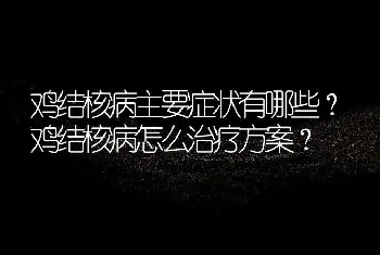 鸡结核病主要症状有哪些？鸡结核病怎么治疗方案？