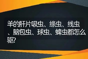 羊的肝片吸虫、绦虫、线虫、脑包虫、球虫、蜱虫都怎么驱?