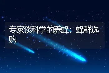 专家谈科学的养蜂：蜂群选购