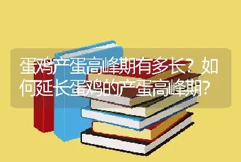 蛋鸡产蛋高峰期有多长？如何延长蛋鸡的产蛋高峰期？