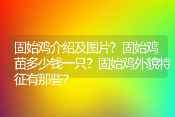 固始鸡介绍及图片?固始鸡苗多少钱一只？固始鸡外貌特征有那些？