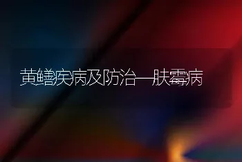 黄鳝疾病及防治―肤霉病