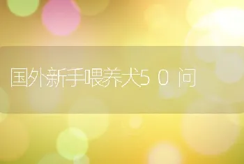 国外新手喂养犬50问