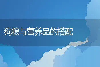 狗粮与营养品的搭配