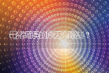 鸡白痢是什么原因引起的？家禽拉白痢怎么治？