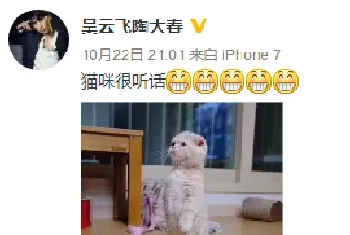 吴云飞微博头条发萌猫图网友：共享宾利后要共享宠物