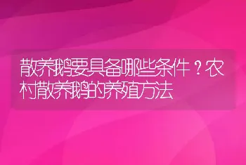 散养鹅要具备哪些条件？农村散养鹅的养殖方法