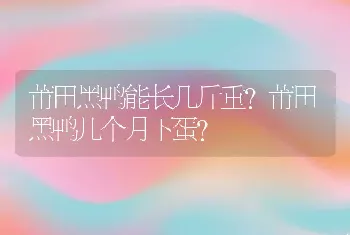 莆田黑鸭能长几斤重？莆田黑鸭几个月下蛋？