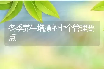 冬季养牛增膘的七个管理要点