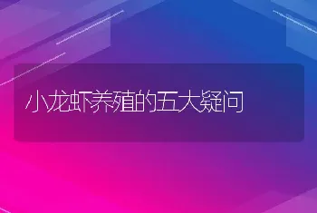 小龙虾养殖的五大疑问