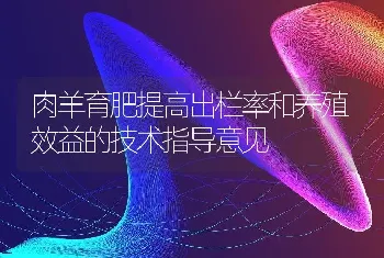 肉羊育肥提高出栏率和养殖效益的技术指导意见