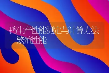 鸭生产性能测定与计算方法-繁殖性能