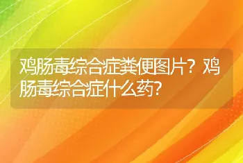 鸡肠毒综合症粪便图片？鸡肠毒综合症什么药？