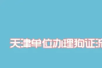 天津单位养犬办理狗证流程一览