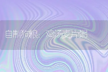 自制狗粮：鸡汤麦片粥