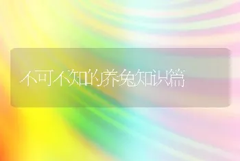 不可不知的养兔知识篇