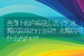 鱼身上起白霜是怎么了?水霉病简单治疗加盐?水霉病用什么药治疗？