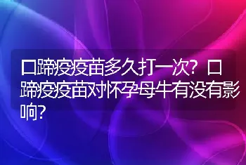 口蹄疫疫苗多久打一次？口蹄疫疫苗对怀孕母牛有没有影响？