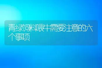 青绿饲料喂牛需要注意的六个事项