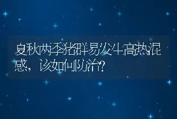 夏秋两季猪群易发生高热混感，该如何防治？