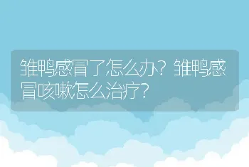 雏鸭感冒了怎么办？雏鸭感冒咳嗽怎么治疗？