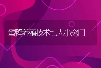 多年打工碌碌无为 回乡养鸭年赚十万