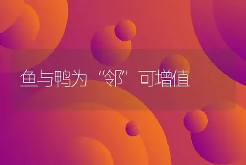 鱼与鸭为“邻”可增值