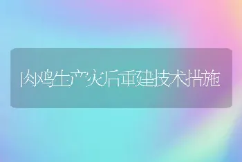 肉鸡生产灾后重建技术措施