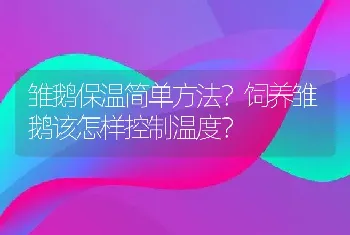 雏鹅保温简单方法？饲养雏鹅该怎样控制温度？