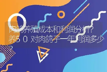 肉鸽养殖成本和利润分析？养50对肉鸽子一年利润多少？