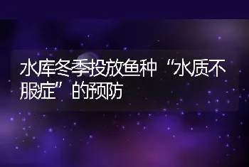 水库冬季投放鱼种“水质不服症”的预防