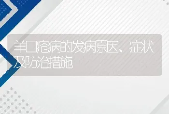 羊口疮病的发病原因、症状及防治措施