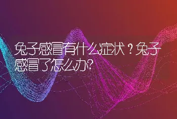 兔子感冒有什么症状？兔子感冒了怎么办?