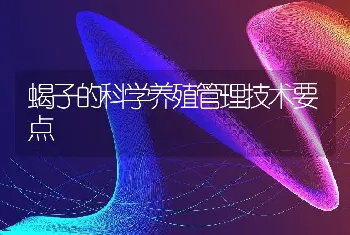 蝎子的科学养殖管理技术要点