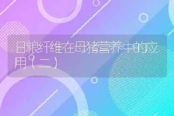 日粮纤维在母猪营养中的应用（二）