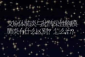 支原体肺炎与猪传染性胸膜肺炎有什么区别？怎么治？