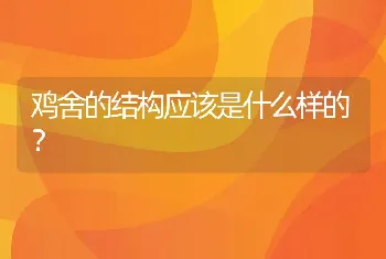 鸡舍的结构应该是什么样的？