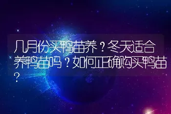 几月份买鸭苗养？冬天适合养鸭苗吗？如何正确购买鸭苗?