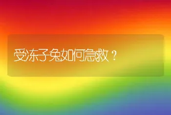 受冻子兔如何急救？