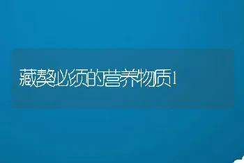 藏獒必须的营养物质1